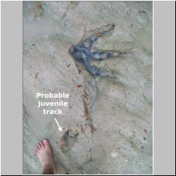 100_0970 (2009-28-07)m-lab.jpg